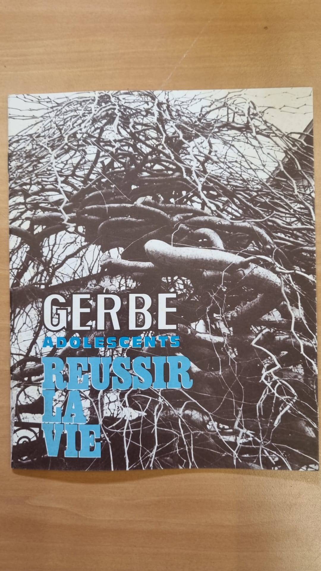 La Gerbe Adolescents